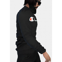 Champion Sweater